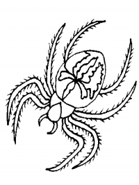 Раскраска 
