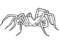 Раскраска 