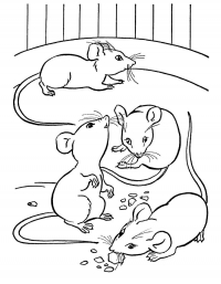 Раскраска 