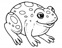 Раскраска 