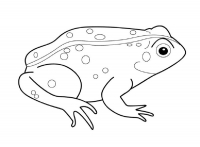 Раскраска 