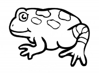 Раскраска 