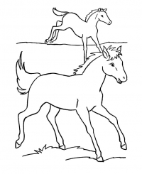 Раскраска 