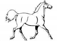 Раскраска 
