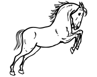 Раскраска 