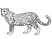 Раскраска 