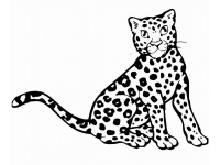 Раскраска 