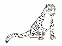 Раскраска 