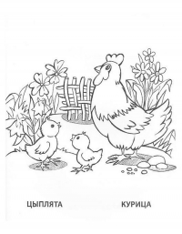 Раскраска 