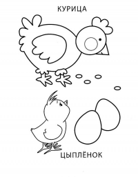 Раскраска 