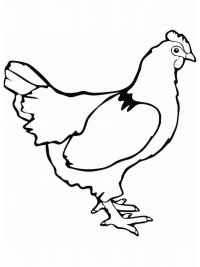 Раскраска 