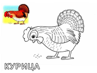 Раскраска 