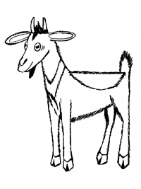 Раскраска 