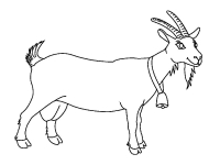 Раскраска 
