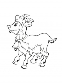 Раскраска 