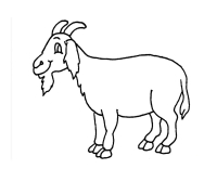 Раскраска 