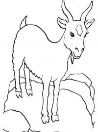 Раскраска 