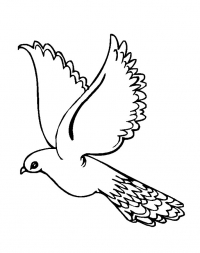 Раскраска 