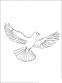 Раскраска 