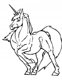 Раскраска 