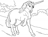 Раскраска 