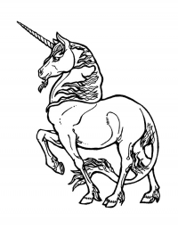 Раскраска 