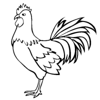 Раскраска 