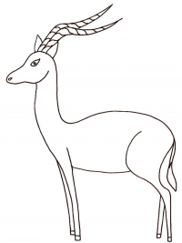 Раскраска 