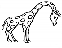 Раскраска 