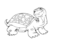 Раскраска 