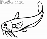 Раскраска 