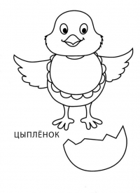 Раскраска 