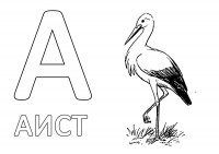 Раскраска 