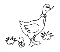 Раскраска 