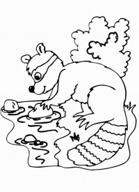 Раскраска 