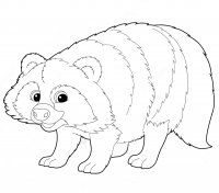 Раскраска 