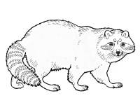 Раскраска 