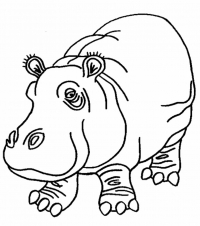 Раскраска 