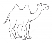 Раскраска 