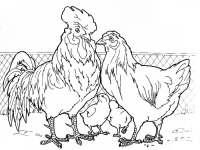 Раскраска 