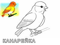 Раскраска 