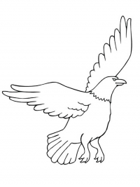 Раскраска 