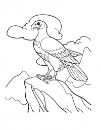 Раскраска 