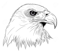 Раскраска 