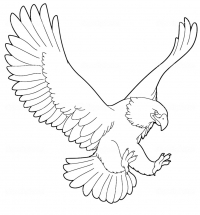Раскраска 