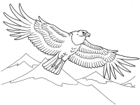 Раскраска 