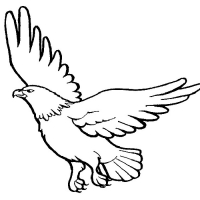 Раскраска 
