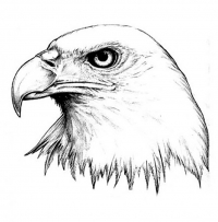 Раскраска 