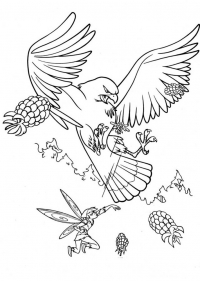 Раскраска 