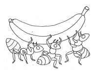 Раскраска 